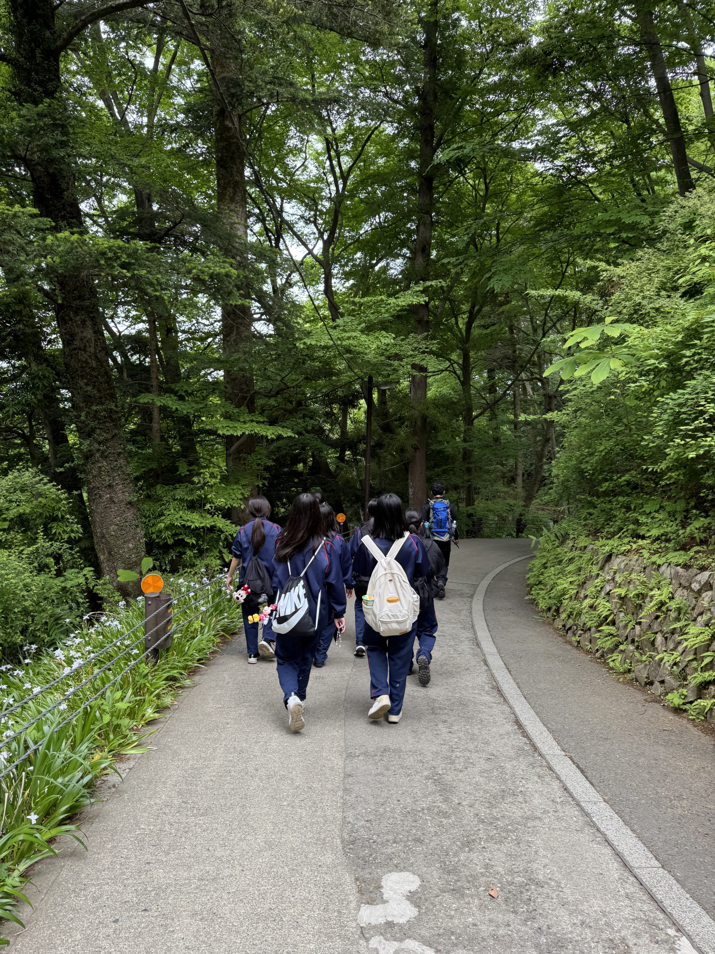 高尾山　登山道